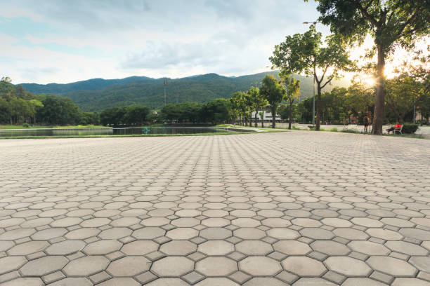 Best Permeable Paver Driveway  in Chapel Hill, NC
