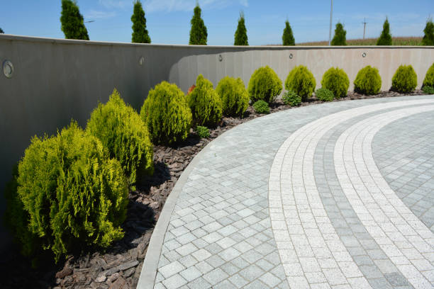 Reasons to Select Us for Your Driveway Paving Requirements in Chapel Hill, NC